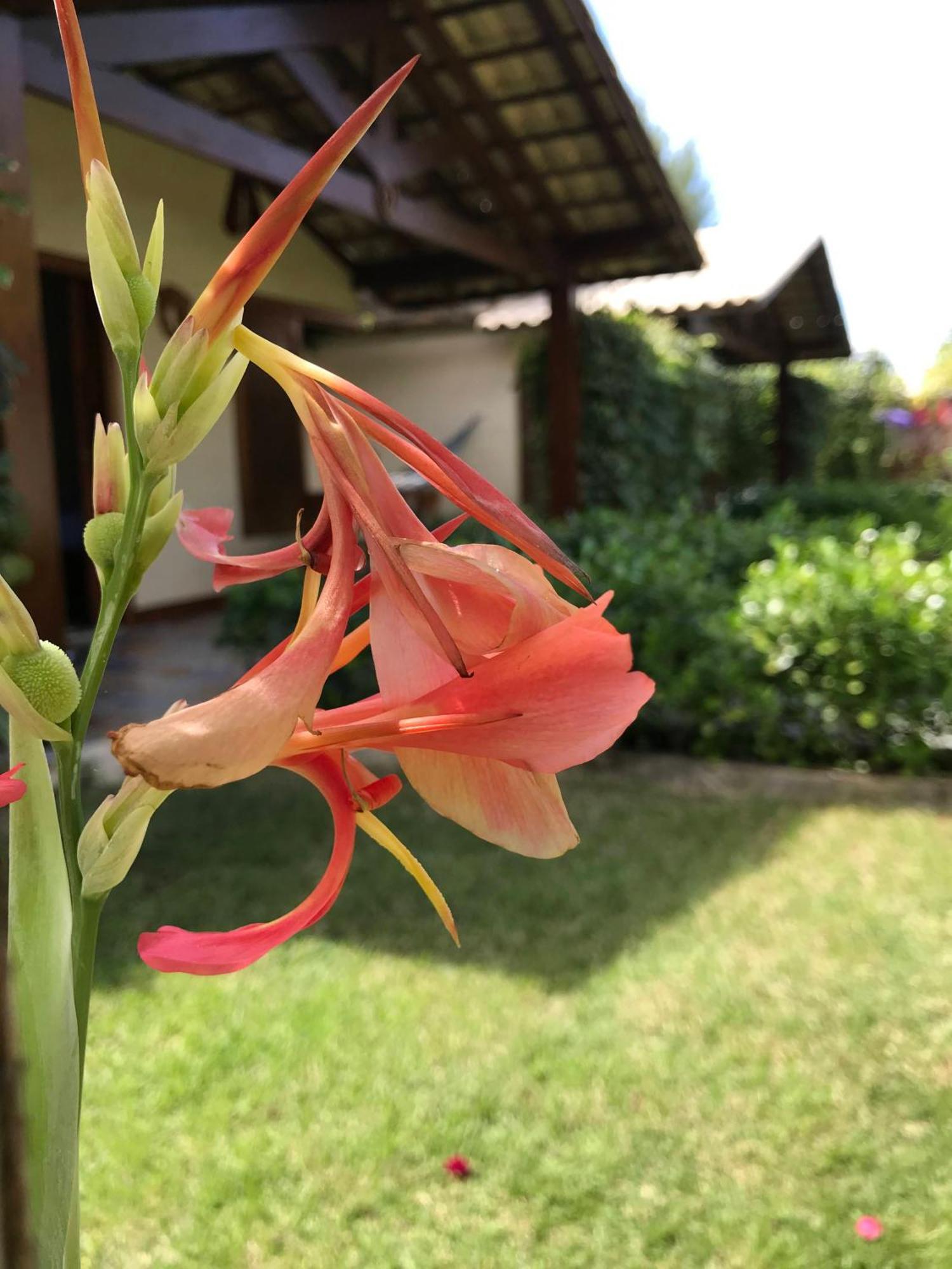 Pousada Rancho Paraiso Pôrto de Pedras المظهر الخارجي الصورة